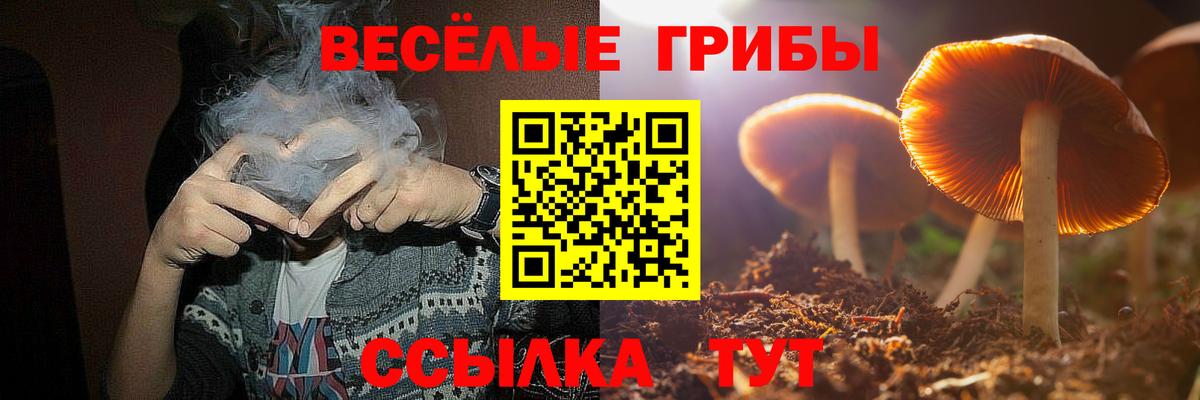 Самара  купить наркотик  Вход с VPN  Псилоцибиновые грибы Magic Shrooms  Галлюциногенные грибы мицелий 